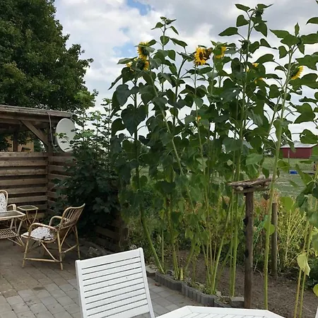 A Big Holidayhouse Rømø-rim-ribe