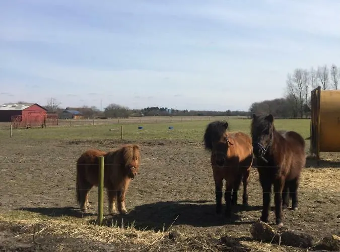 A Big Holidayhouse Romo-rim-ribe *