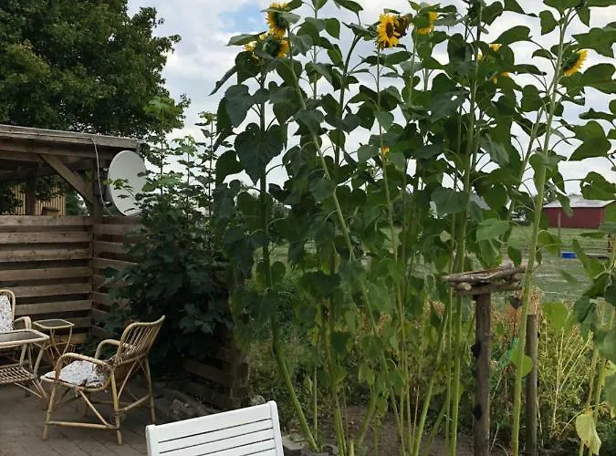 A Big Holidayhouse Romo-rim-ribe